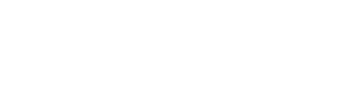 Solidariteit netwerk - Logo